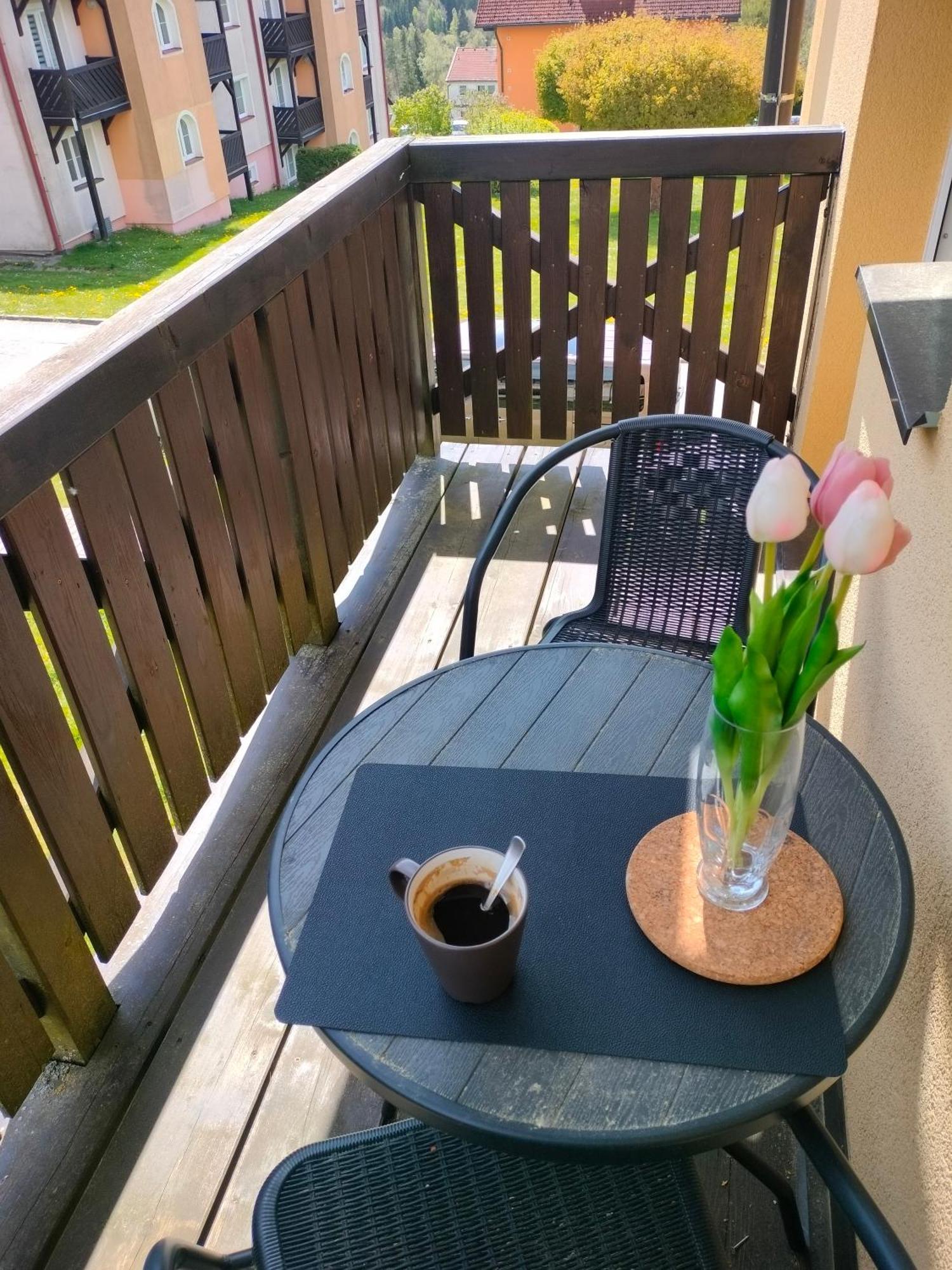 Apartman Aja - Lipno Nad Vltavou Exterior foto